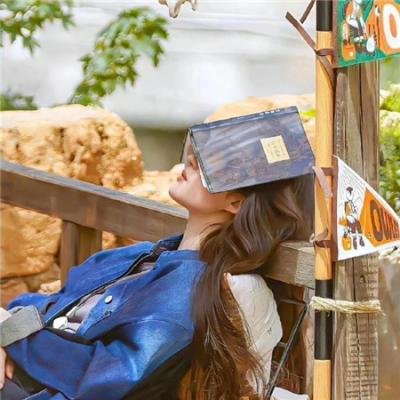 重活一次我转身出门嫁少帅